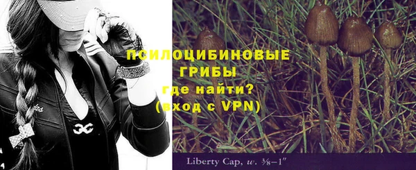 мяу мяу мука Алексин